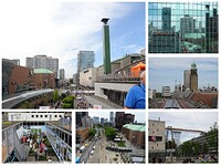 Fotografia 13977709