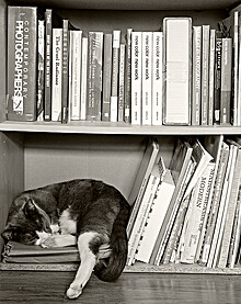 Library Logo