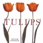 Tulips de Peter Arnold