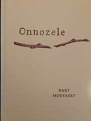 Onnozele av Bart Moeyaert