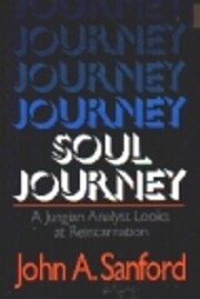 Soul Journey: A Jungian Analyst Looks at…