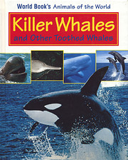 Killer Whales and Other Toothed Whales…