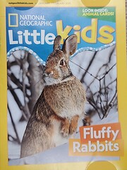 MAG 2021janfeb Nat Geo Little Kids