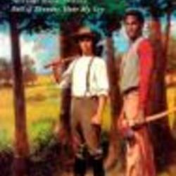 the land by mildred d taylor the land by mildred d taylor
