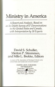 Ministry in America: A report and analysis,…