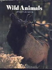 Wild animals of North America – tekijä:…
