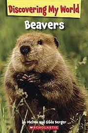 Beavers