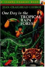 One Day in the Tropical Rain Forest –…