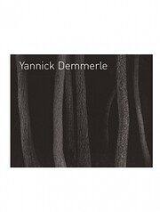 Yannick Demmerle de Arndt & Partner
