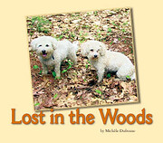 Lost in the Woods by Michele Dufresne