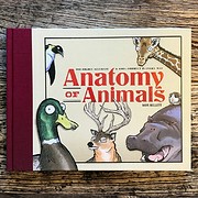 Anatomy of Animals av Dave Kellett