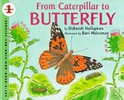 From Caterpillar to Butterfly…