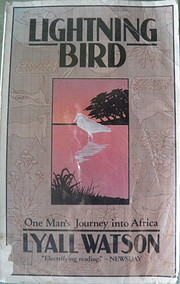 Lightning Bird: The Story of One Man's…