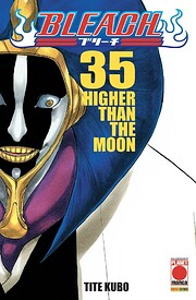 Bleach 35 av Tite Kubo
