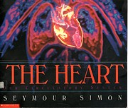 The Heart Our Circulation System