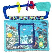 Baby Einstein Photo & Discovery Book