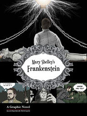 Frankenstein: a Graphic Horror Novel –…