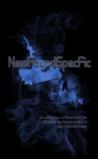 NewFoundSpecFic Volume 1 by Various Authors