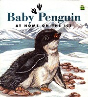 Baby Penguin At Home on the Ice di Jennifer…