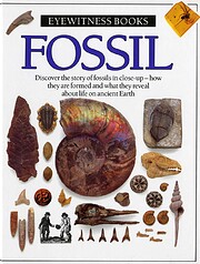 Fossil de Paul D. Taylor