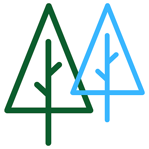 how to find my pines library card number