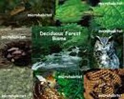 Biomes of the World de Michael Allaby
