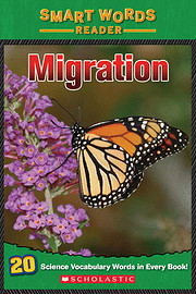 Smart Words Reader Migration