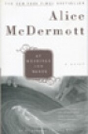 At Weddings and Wakes por Alice Mcdermott