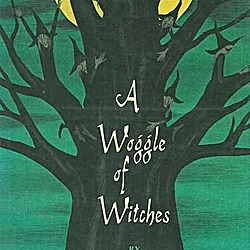 A Woggle of Witches by Adrienne Adams | LibraryThing