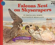 Houghton Mifflin Soar to Success: Falcons…