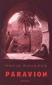 Paravion : roman de Hafid Bouazza