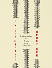 Across the Bridge : Understanding the Origin…