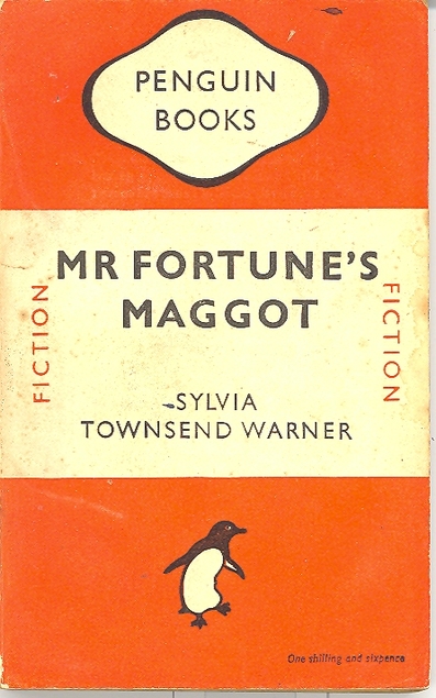 Mr Fortune's Maggot cover