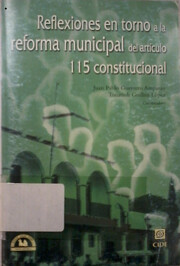 Reflexiones en torno a la reforma municipal…