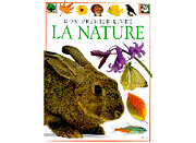 La nature de Collectif