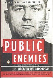 Public enemies de Bryan Burrough