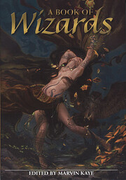 A Book of Wizards por Marvin (Ed) Kaye