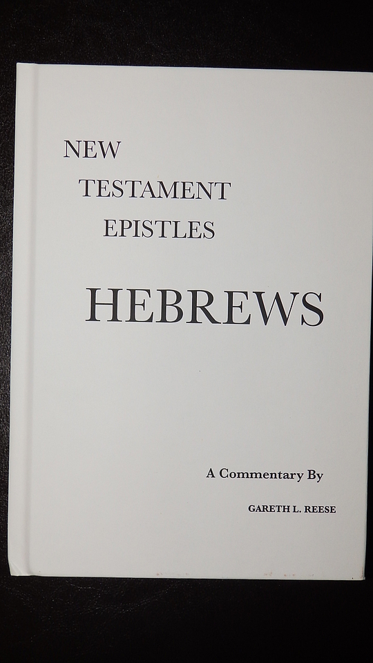 New Testament Epistles: A Critical And Exegetical Commentary On The ...