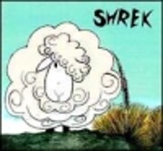 Shrek: The Famous Hermit Sheep Of Tarras de…