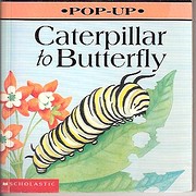 Caterpillar to Butterfly (Play with) by…