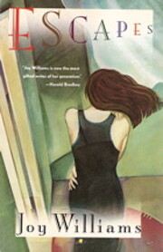 Escapes av Joy Williams