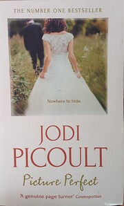 Picture Perfect av Picoult Jodi