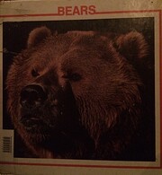 Bears (North American Animal Discovery…