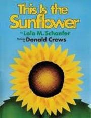 This is the sunflower av Lola M Schaefer