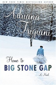 Home to Big Stone Gap: A Novel by Adriana…