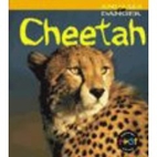 Cheetah (Heinemann First Library: Animals in…