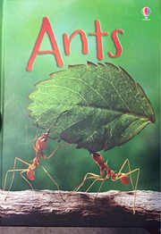 Ants IR