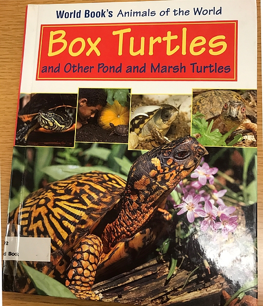 Box Turtles and Other Pond and Marsh Turtles (World Book's Animals of ...