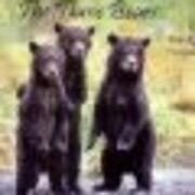 The Three Bears With REAL Photographs de…