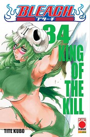 Bleach 34 av Tite Kubo